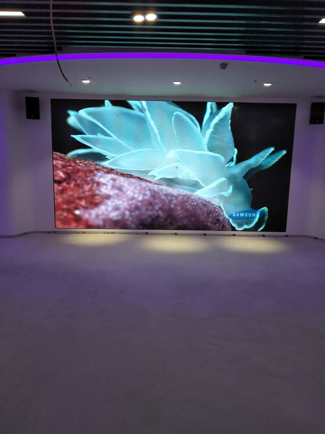 蘇州某某學校